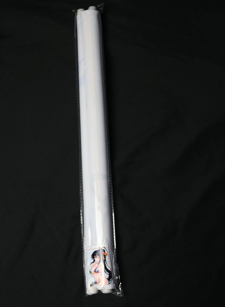 Akeno Himejima001 - High School DXD Wall Scroll - Anime Waifu - 50x80cm